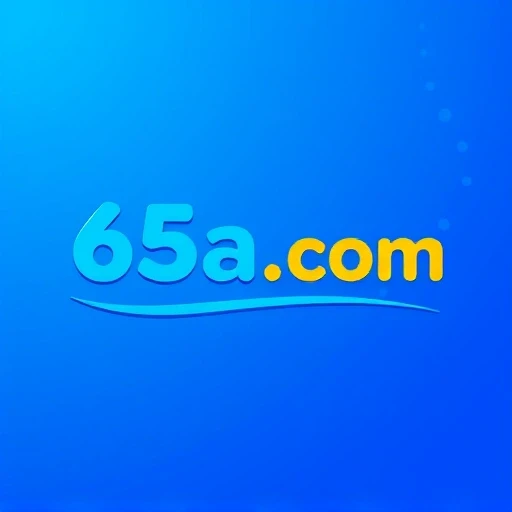 65a.com